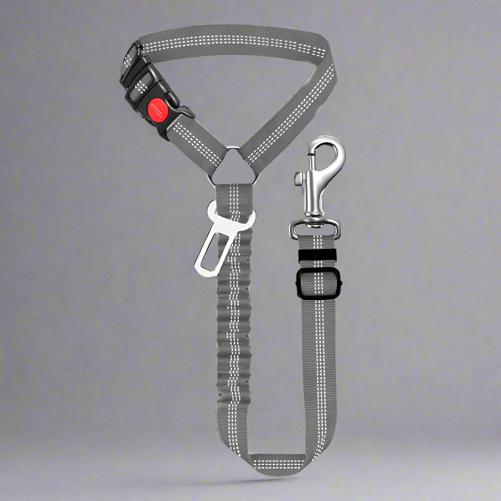 SafePawRide Leash
