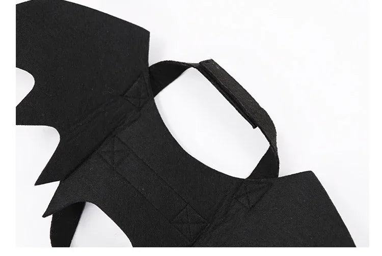 Midnight Wings Costume