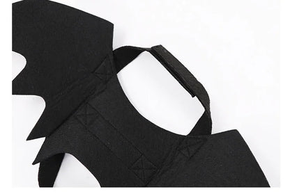 Midnight Wings Costume