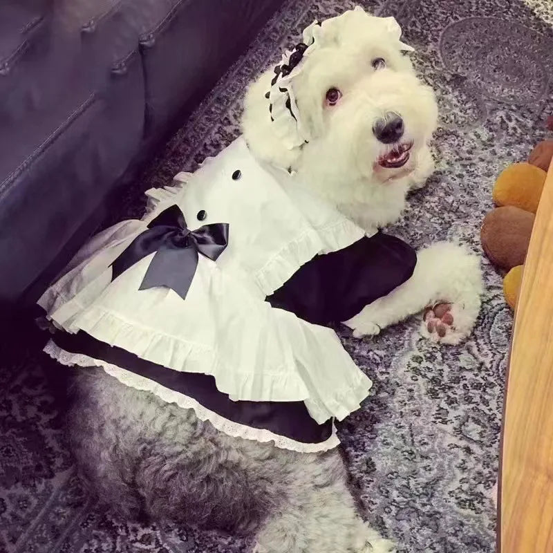 The Maid Pup Costume