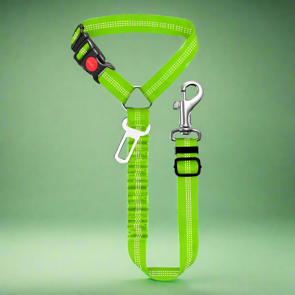 SafePawRide Leash