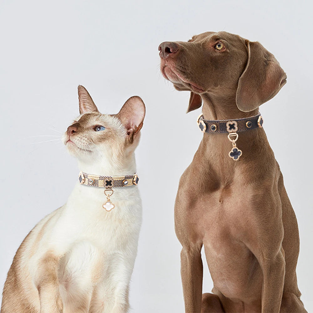 CloverPaw Collar