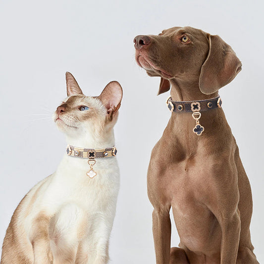CloverPaw Collar