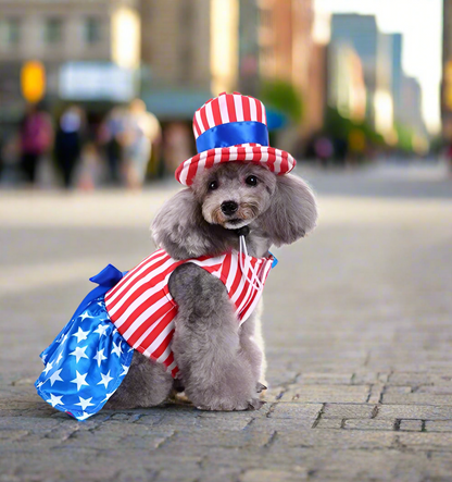 The Ultimate Paw Costume Collection