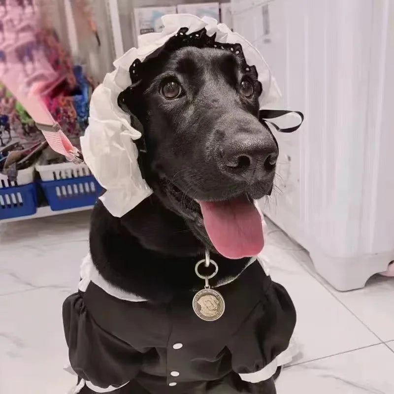 The Maid Pup Costume