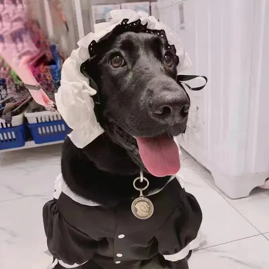 The Maid Pup Costume