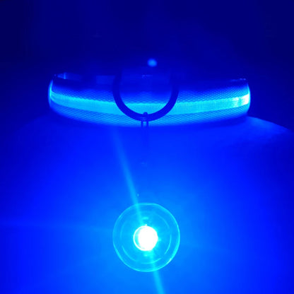 GlowGuard LED Collar