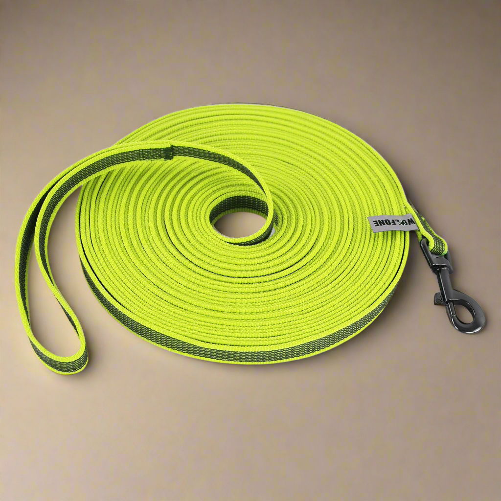 FlexiPaw Long Leash
