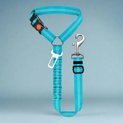 SafePawRide Leash