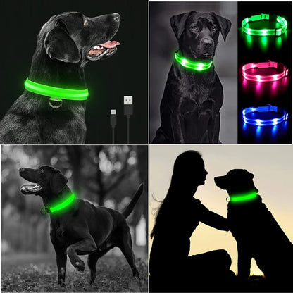 GlowGuard LED Collar