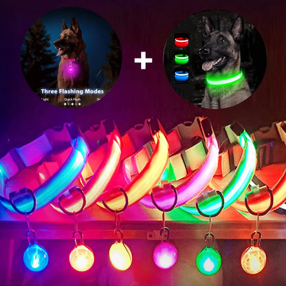 GlowGuard LED Collar
