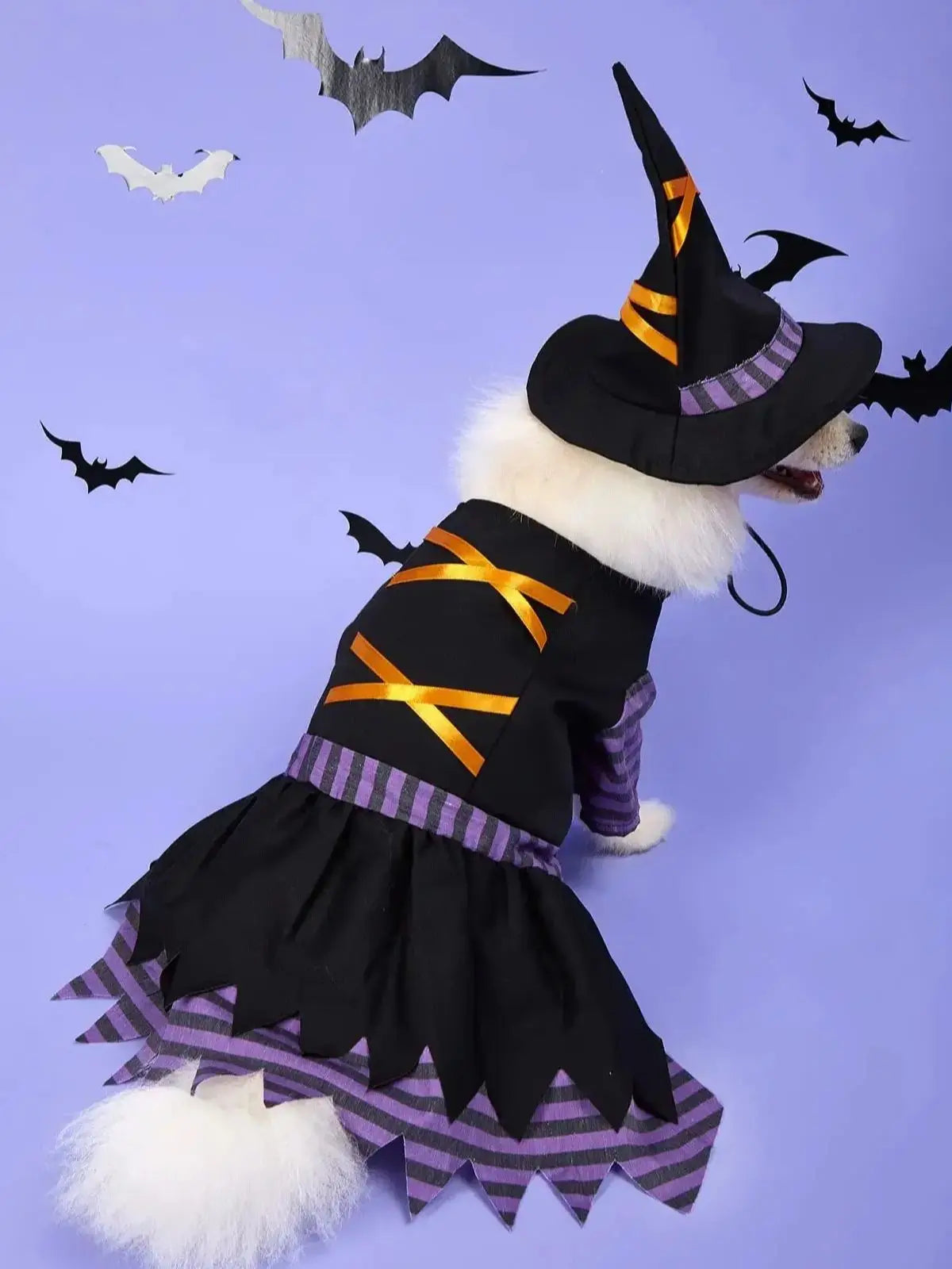 Enchanted Paws Witch Costume