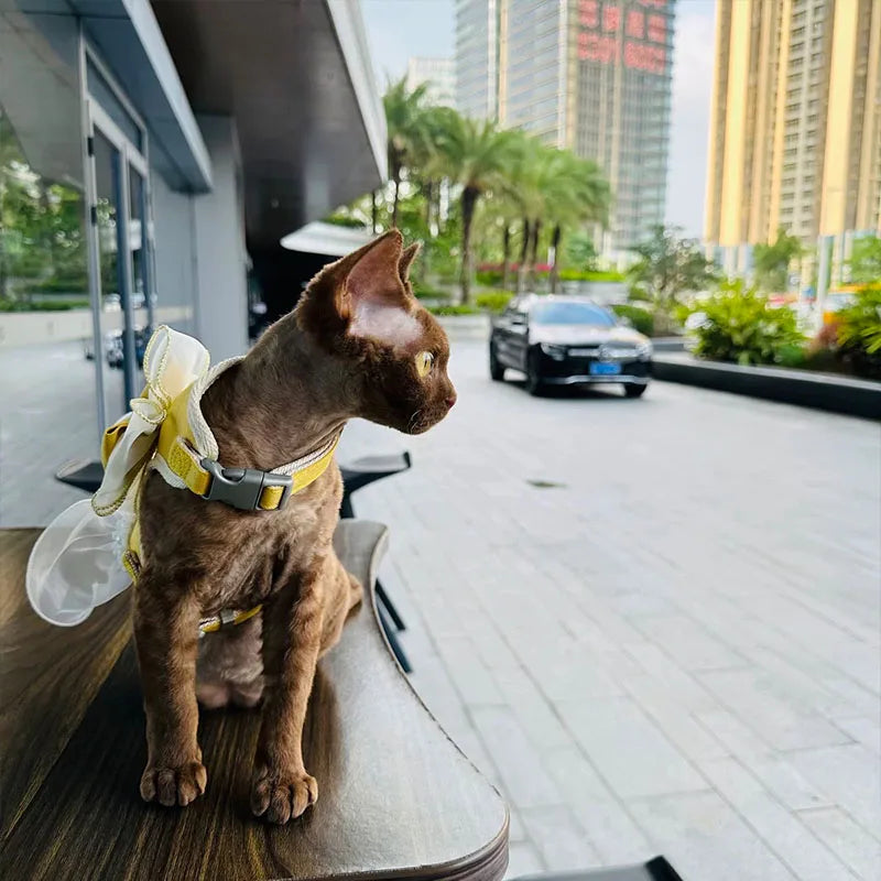 DreamBow Pet Harness & Leash Set