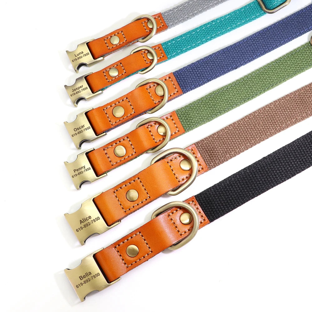 TailorFit Personalized Dog Collar