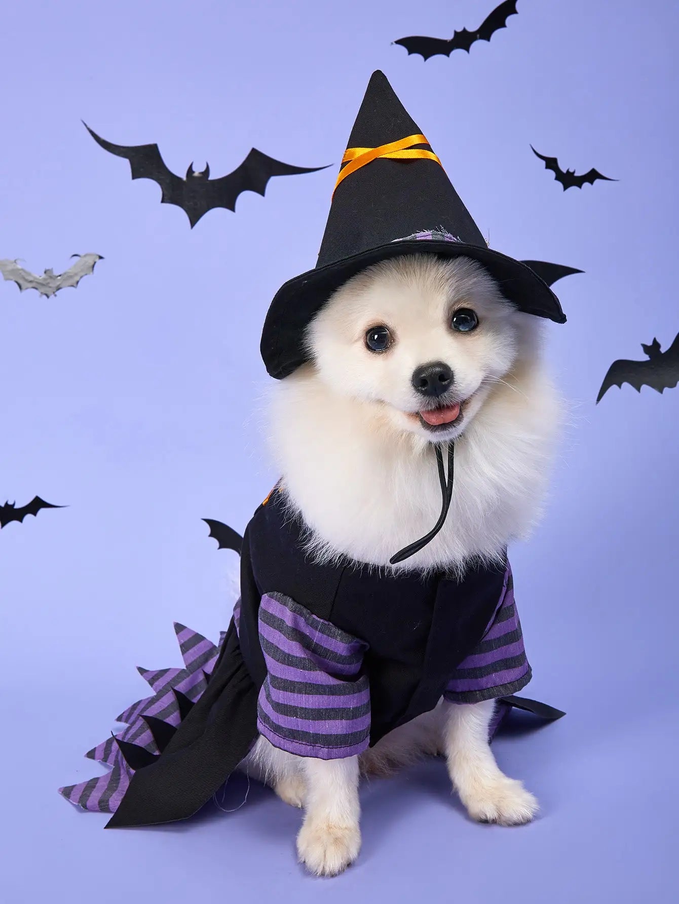 Enchanted Paws Witch Costume