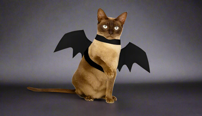 Midnight Wings Costume