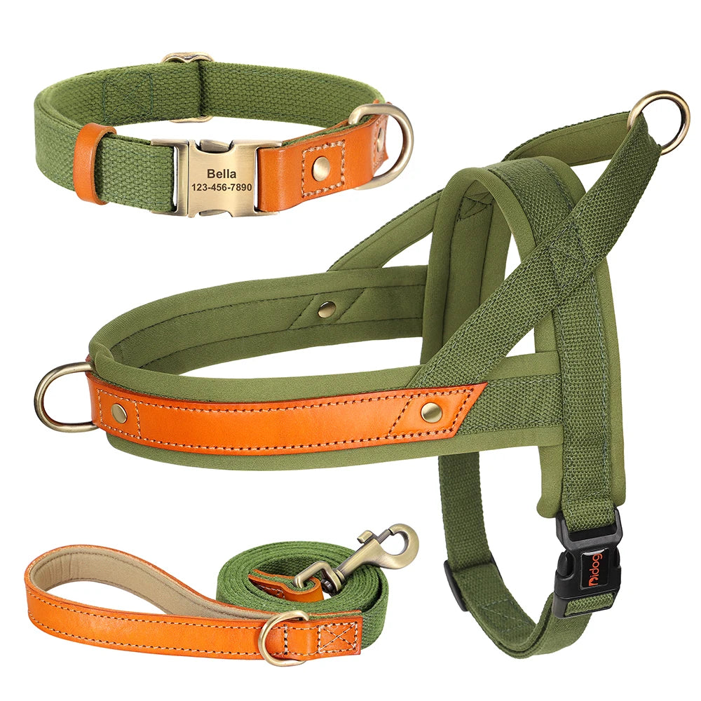 PawFit Nylon Collar, Harness & Leash Set