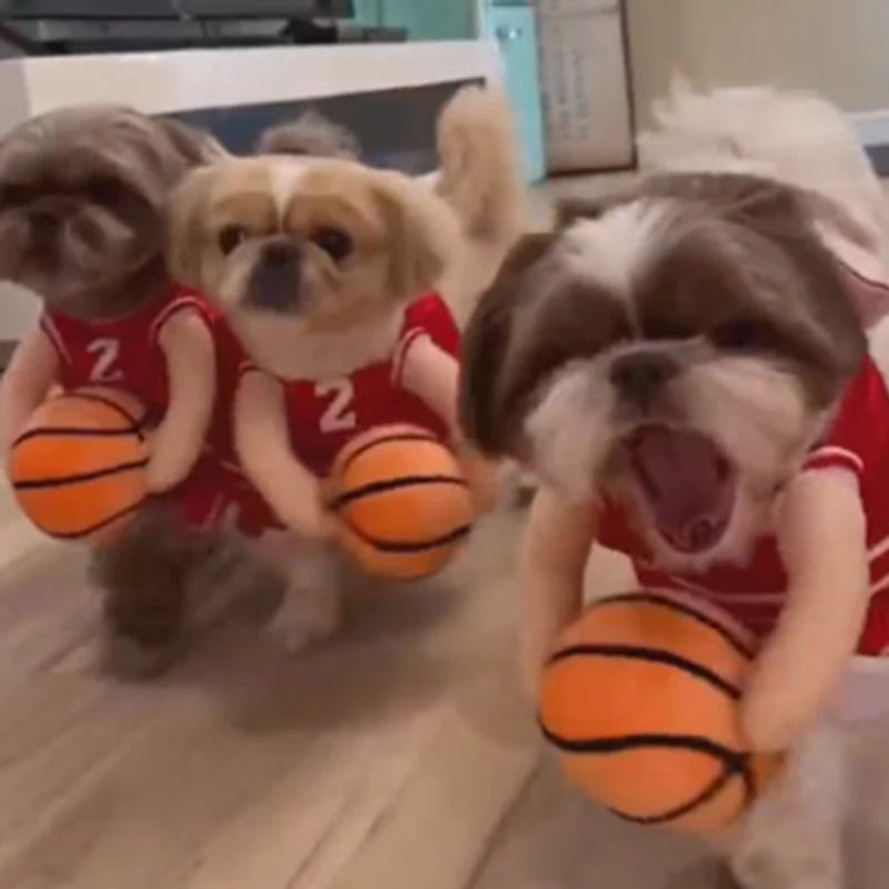 All-Star Dog Costume