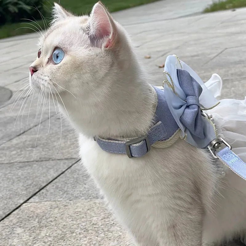DreamBow Pet Harness & Leash Set