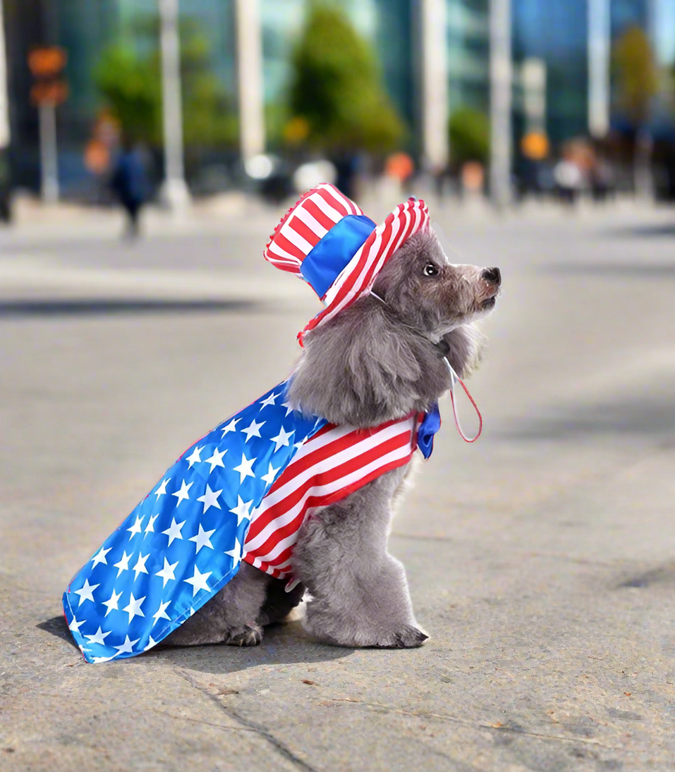 The Ultimate Paw Costume Collection