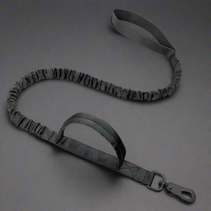 Tactical Cat Harness & Leash Set