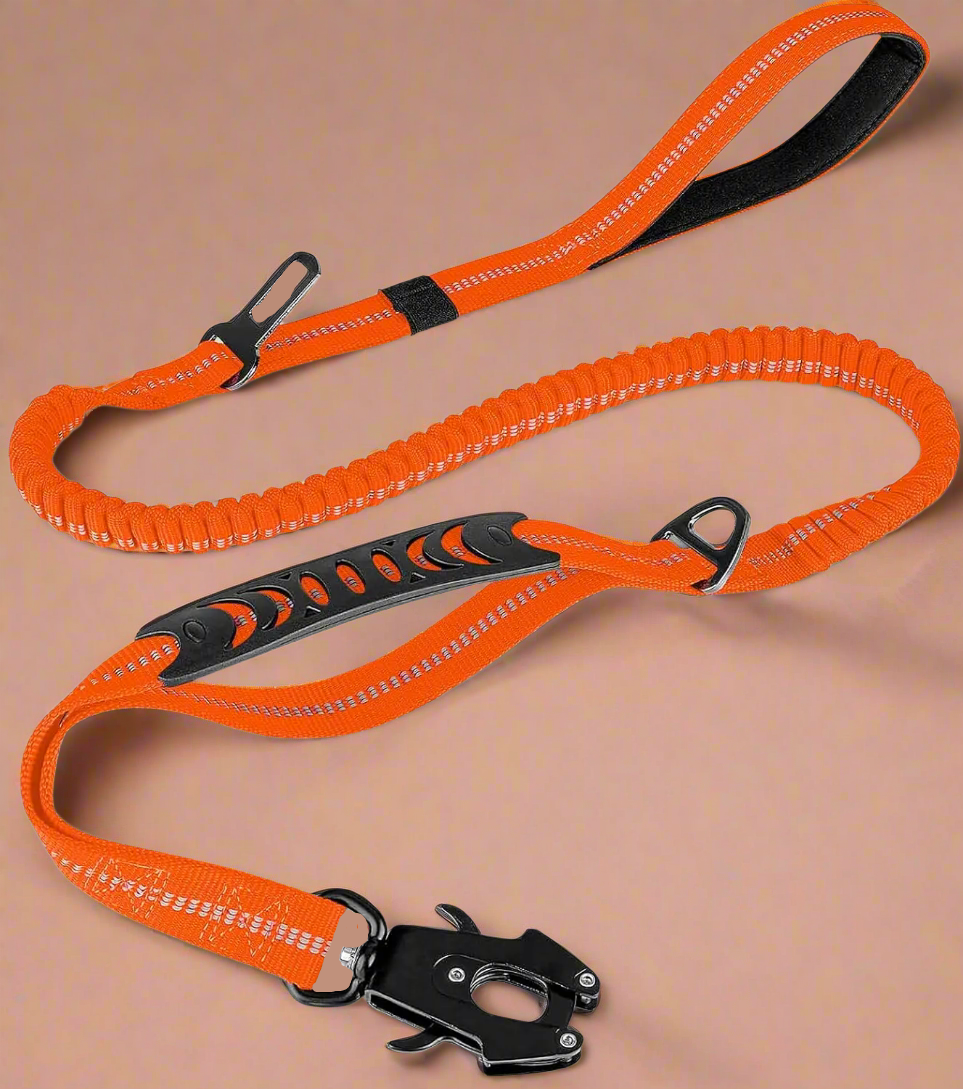 PowerPaw Heavy-Duty Leash