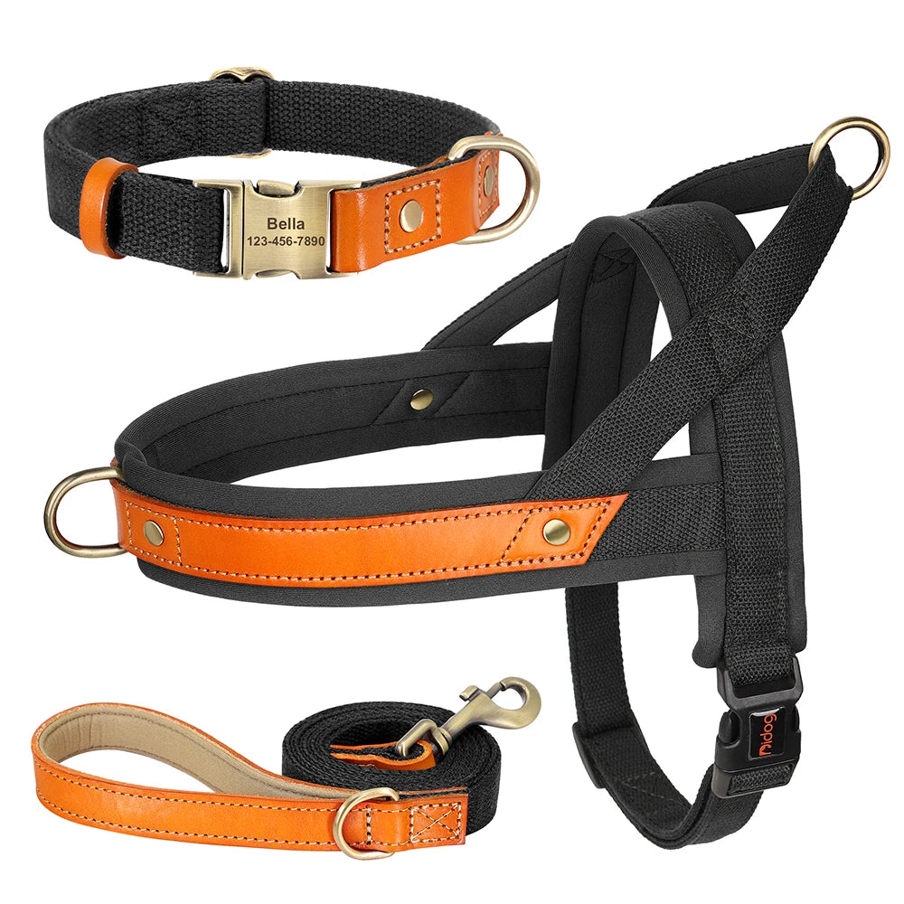 PawFit Nylon Collar, Harness & Leash Set