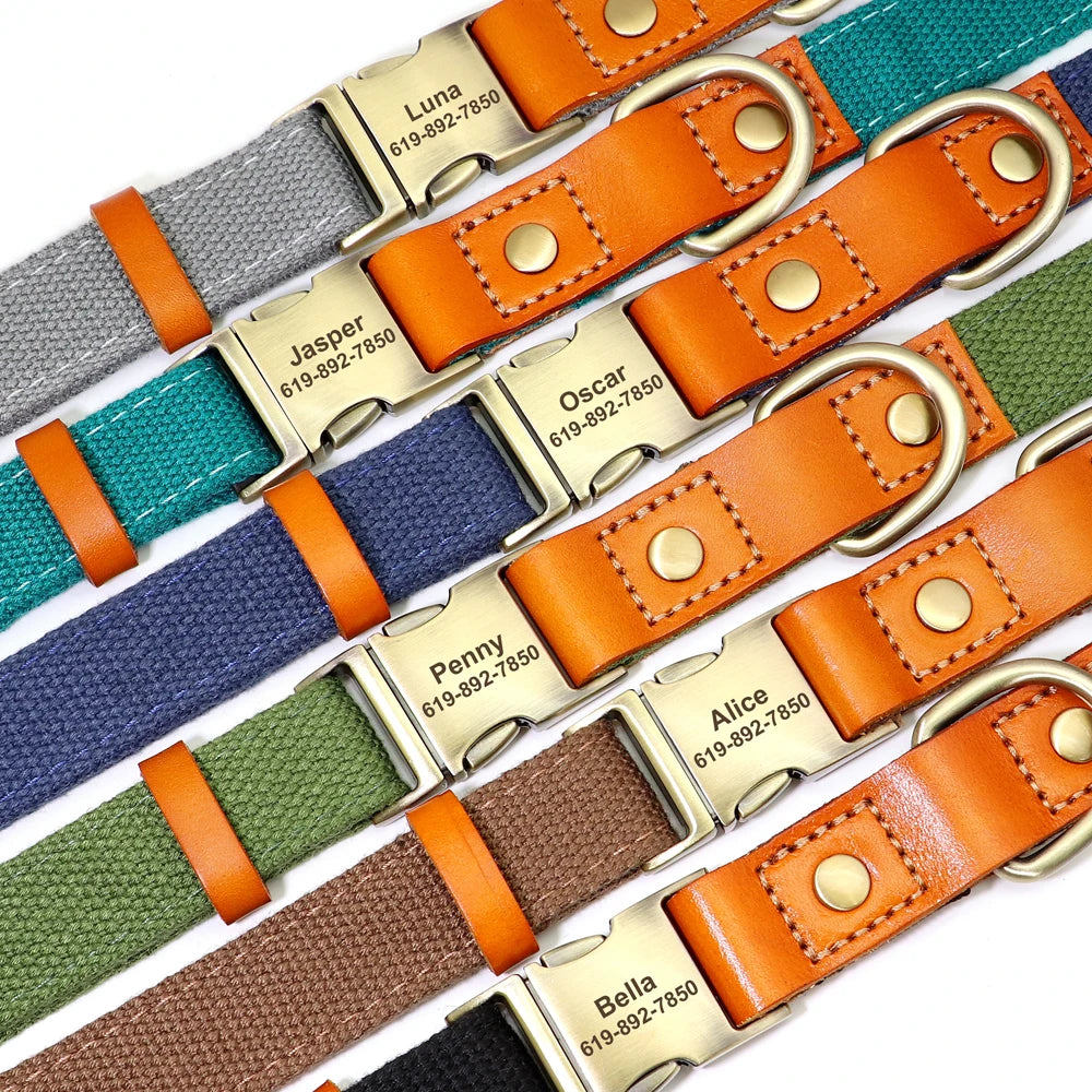 TailorFit Personalized Dog Collar