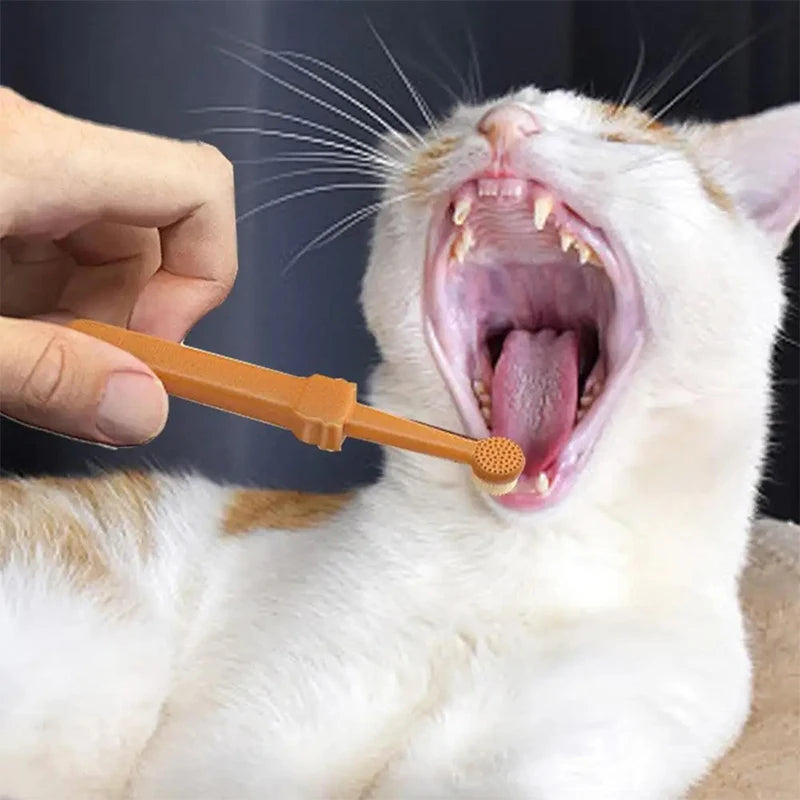 SparklePaws Pet Teeth Whitening Kit