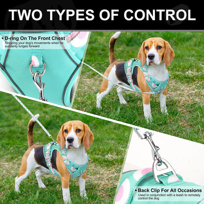 LuminaElite Reflective Dog Harness & Leash Set