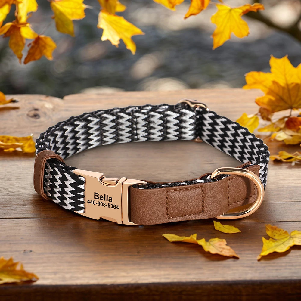 EliteTag Custom Nylon Dog Collar