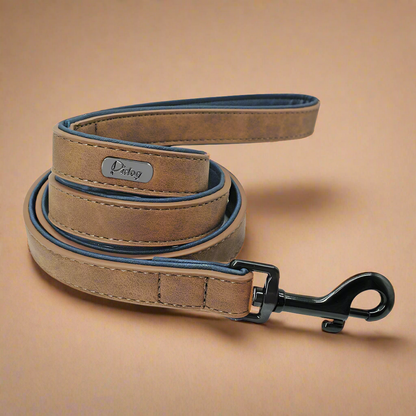 PawStride Premium Dog Leash