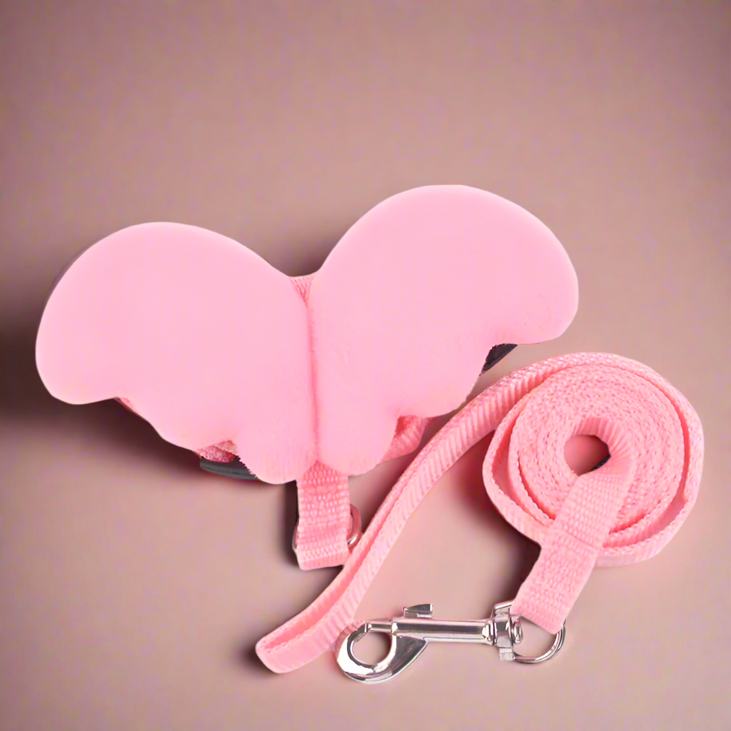 Angel Wings Harness & Leash Set