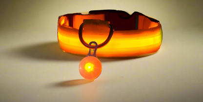 GlowGuard LED Collar