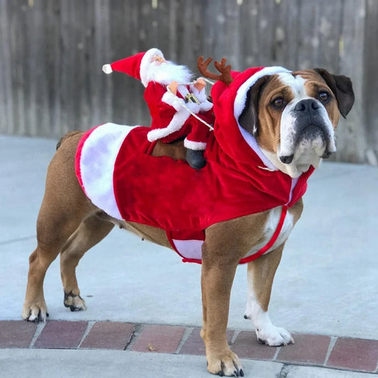Santa Rider Costume