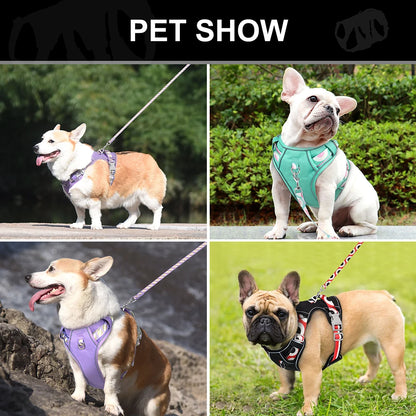 LuminaElite Reflective Dog Harness & Leash Set