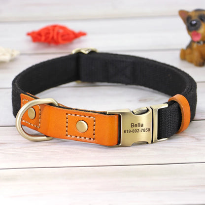 TailorFit Personalized Dog Collar