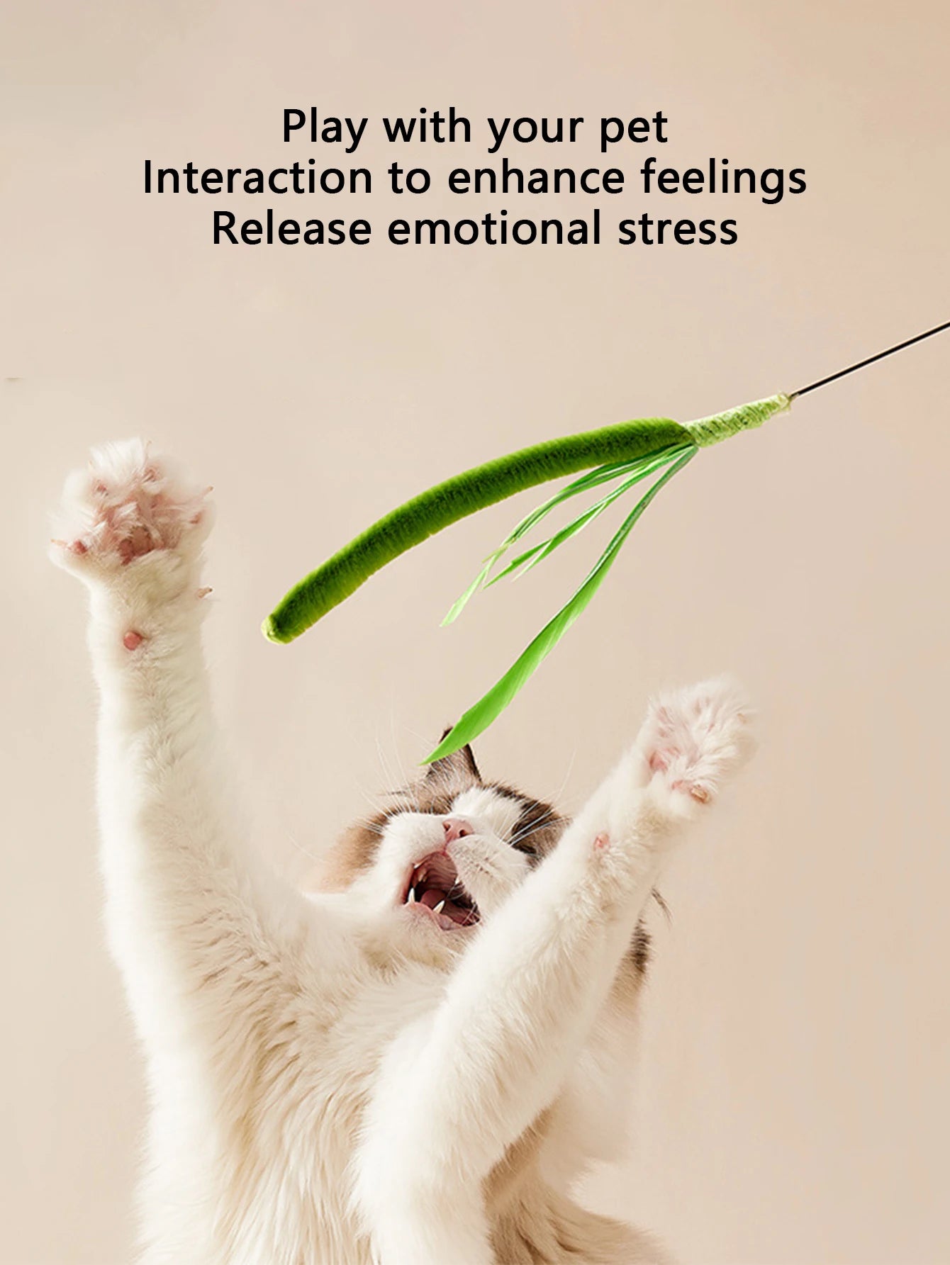 Kimpets Feather Teaser