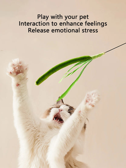 Kimpets Feather Teaser