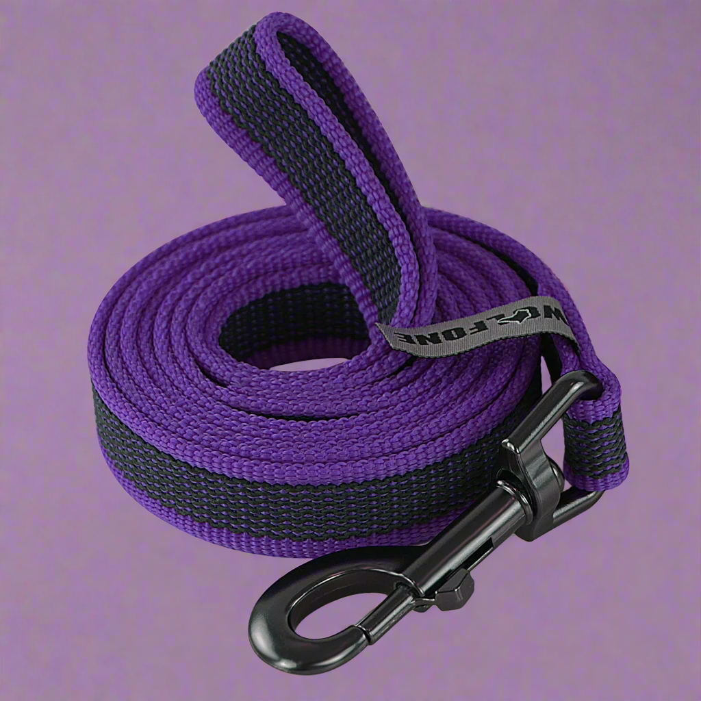 FlexiPaw Long Leash