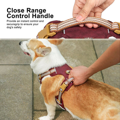 PawGuard Harness