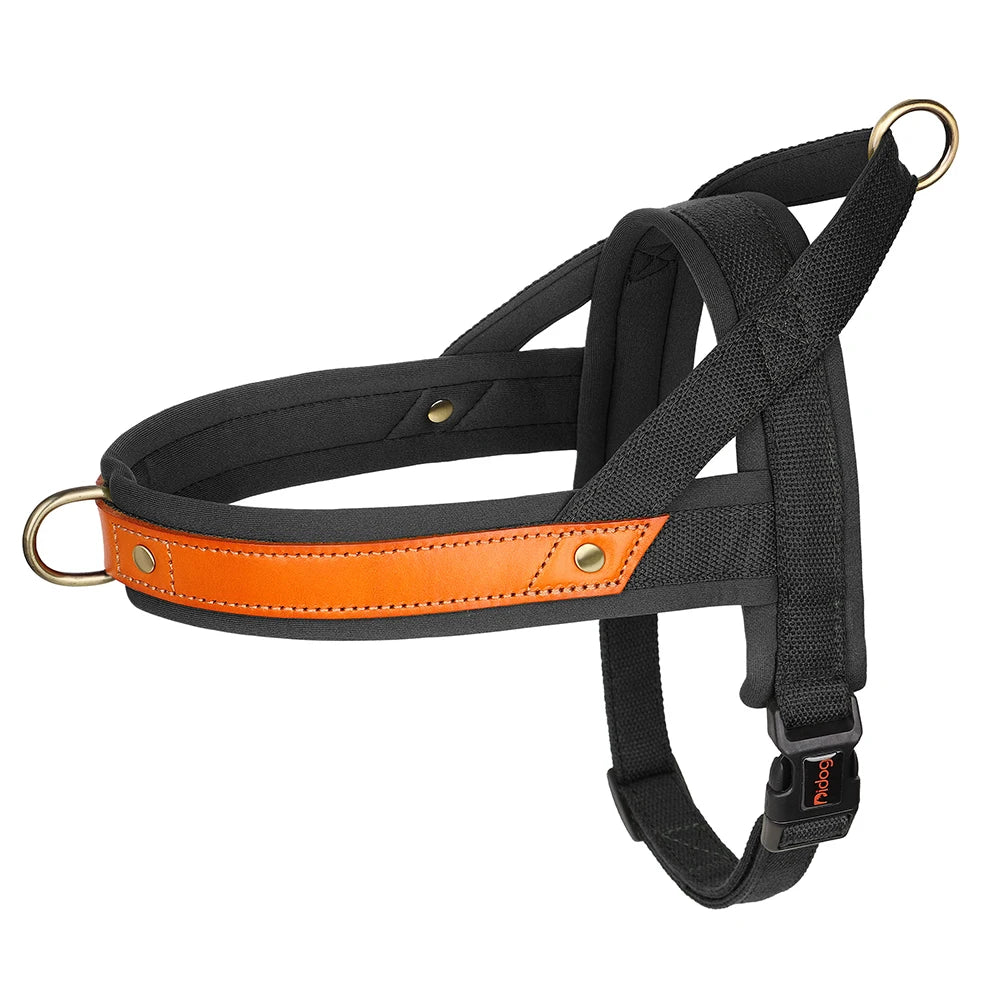 PawFit Nylon Collar, Harness & Leash Set
