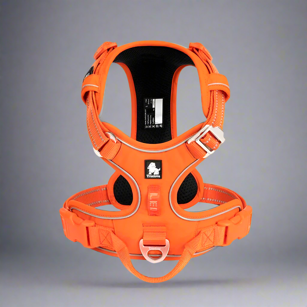 PawTrueLove Harness