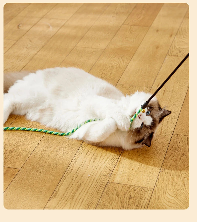 FlutterChase Feather Teaser