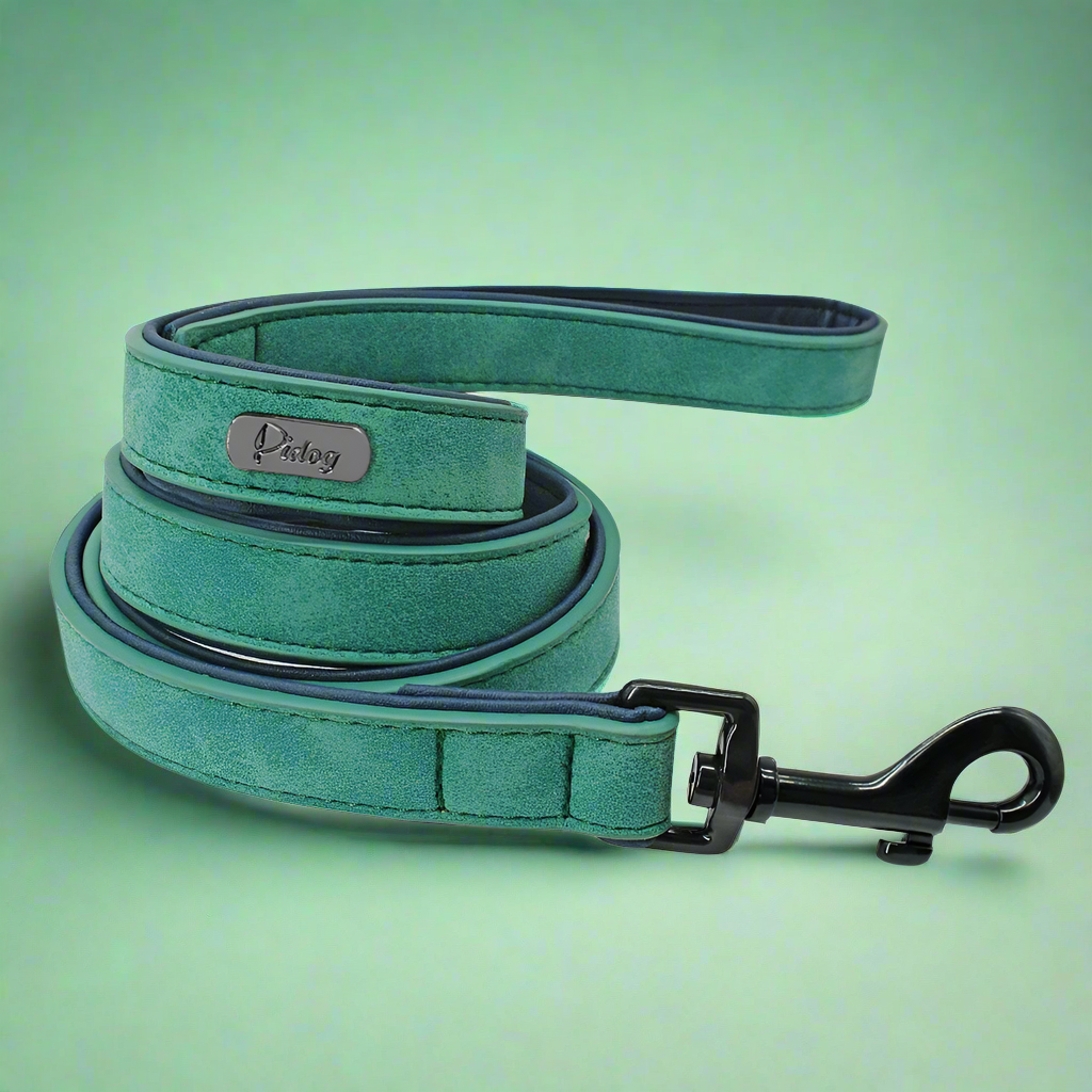 PawStride Premium Dog Leash