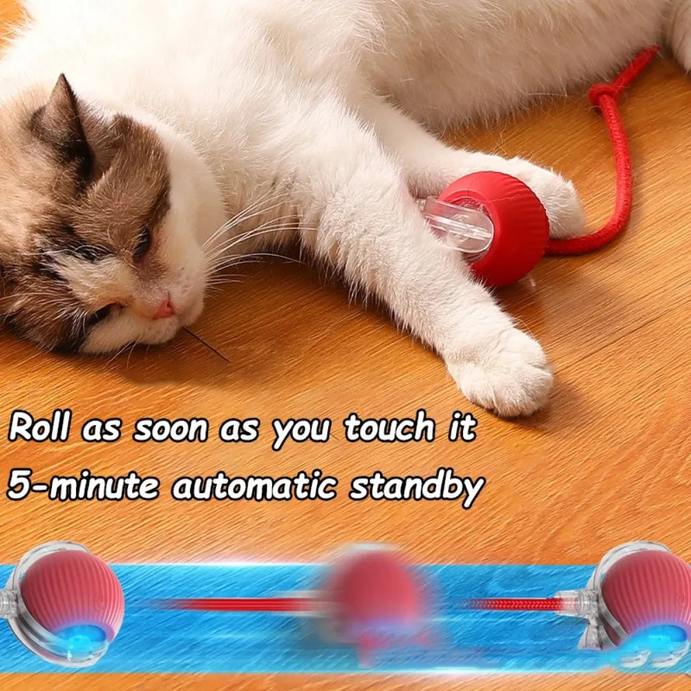 HuntSphere Smart Cat Ball