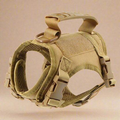 Tactical Cat Harness & Leash Set