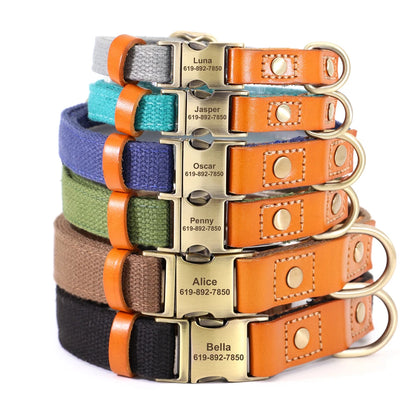 TailorFit Personalized Dog Collar