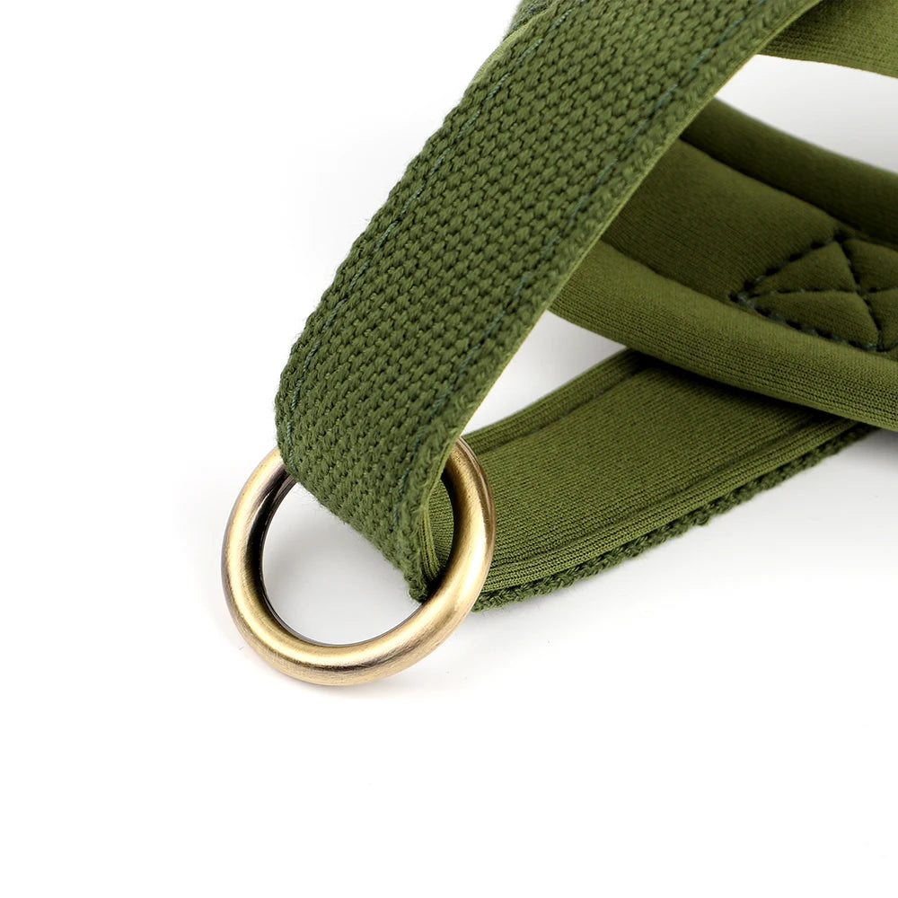 PawFit Nylon Collar, Harness & Leash Set