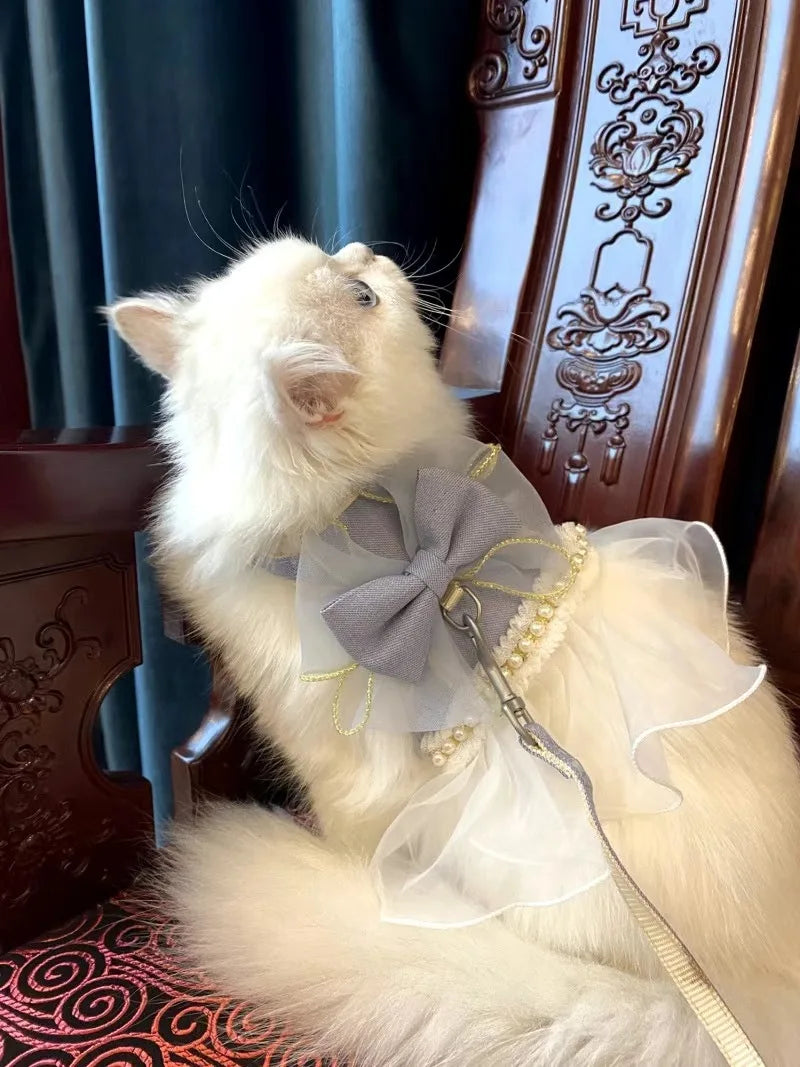 DreamBow Pet Harness & Leash Set